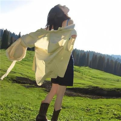 野良猫洛克:女番长